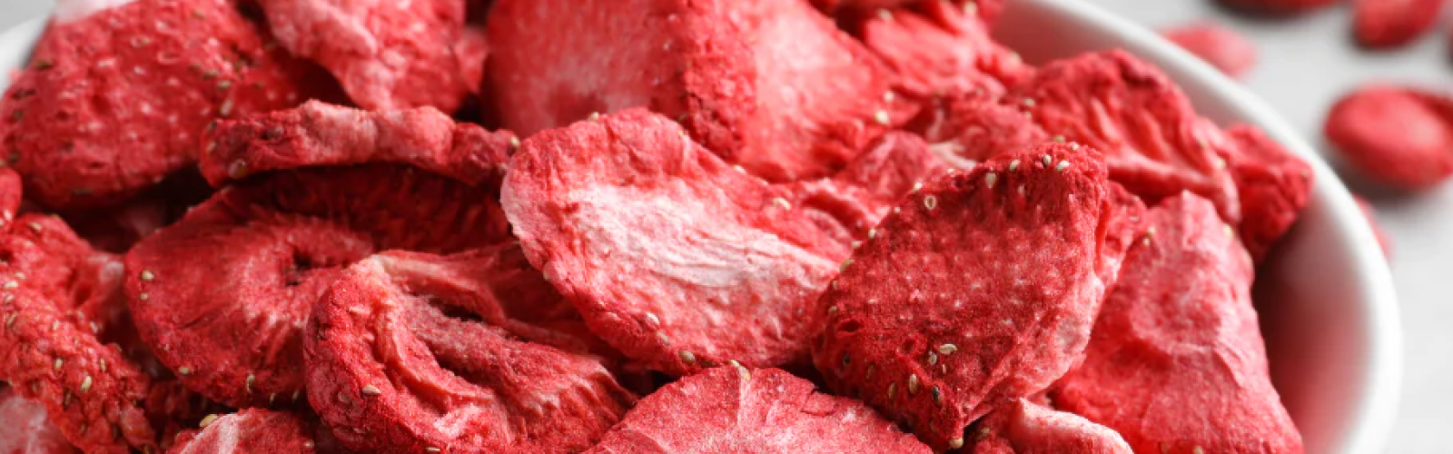 Return & Refund Policy