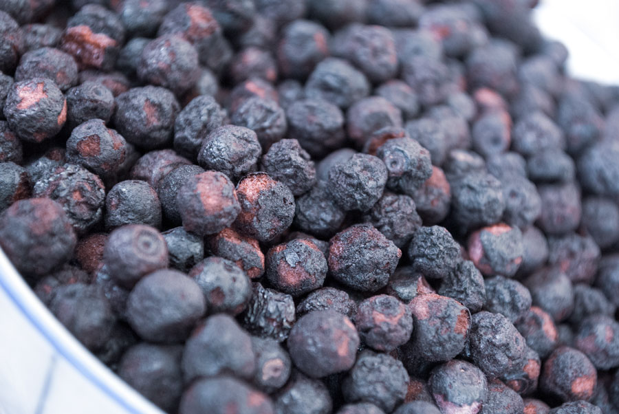 Blueberries Collection